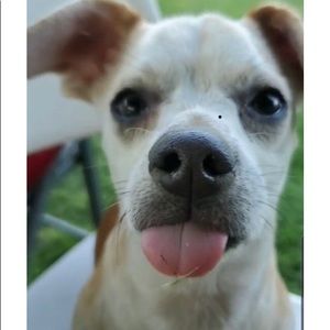 Meet your Posher, Veronica